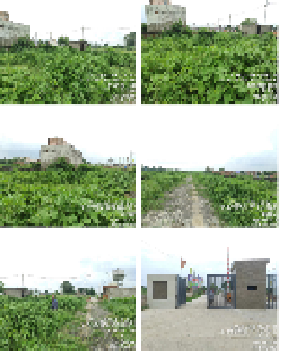 The Gift Gallery, Uttar Pradesh